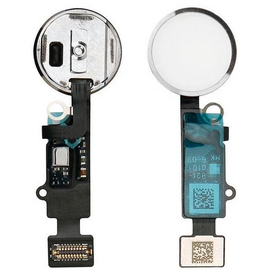 Кнопка HOME iPhone 7/ iPhone 7 Plus / iPhone 8/ iPhone 8 Plus белый (74YB) PluseRus - Сервис Плюс Рус